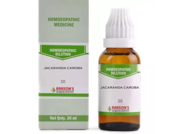 Jacaranda Caroba